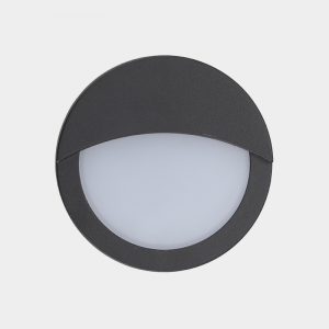 LED Outdoor Wall Light